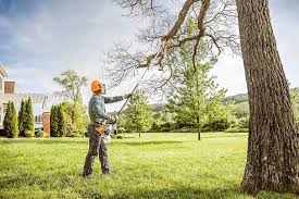 How Our Tree Care Process Works  in Lake Meade, PA